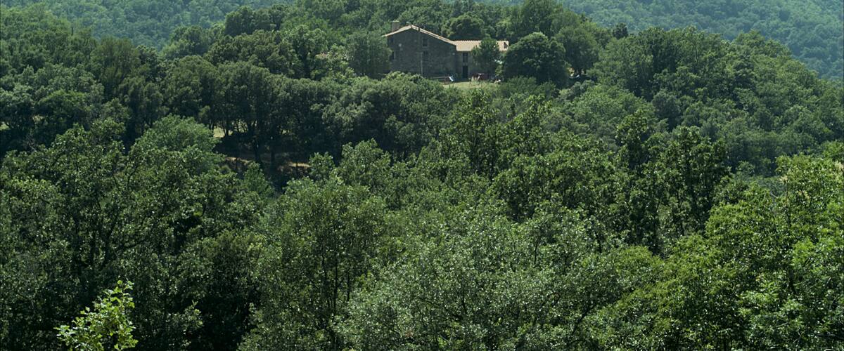 A house surrounded by dense forest and hills.