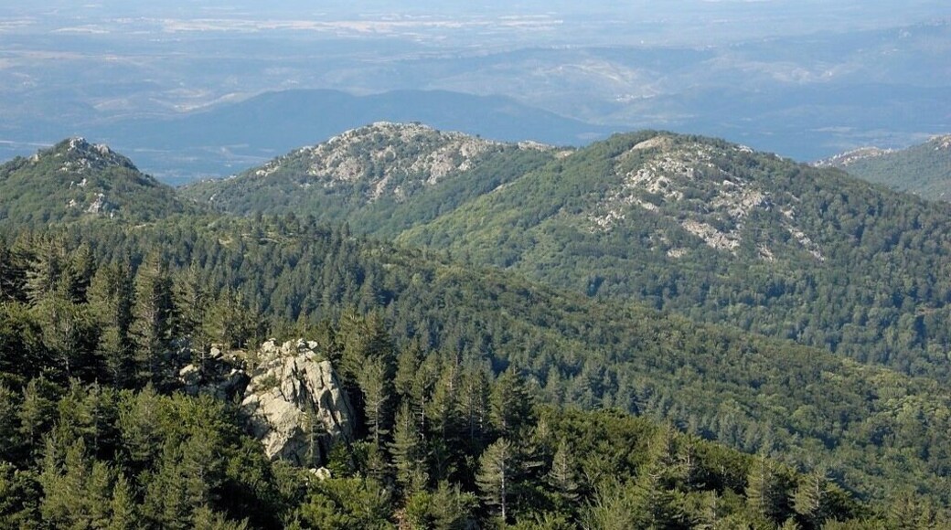 Sierra de la Albera