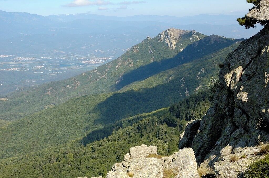 Puig d'Orella, Serra de l'Albera