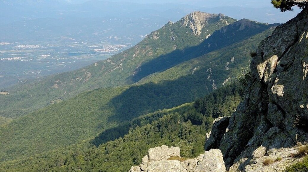 Puig d'Orella, Serra de l'Albera