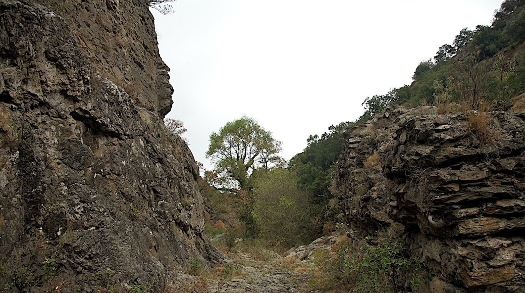 Roman road, La Cluse