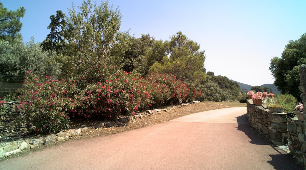 Route près de l'église Sainte-Marie de la Vluse Haute, Les Cluses (Pyrénées-Orientales, Languedoc-Roussillon, France)