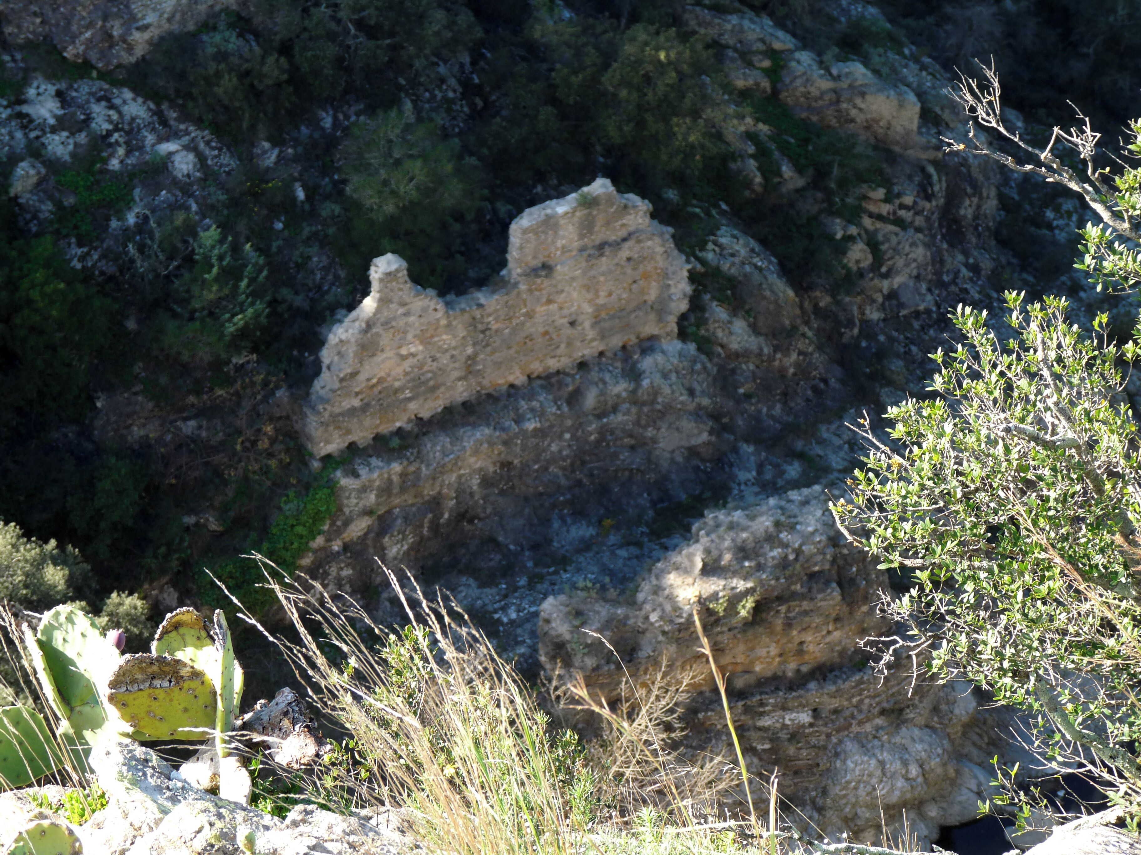 A rocky cliff with sparse vegetation and a cactus in the foreground.