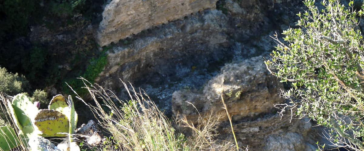 A rocky cliff with sparse vegetation and a cactus in the foreground.