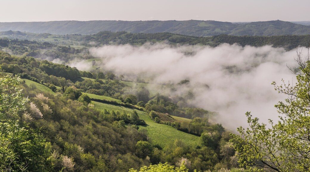 Valley of Duzou River near Saint-Cyprien-sur-Dourdou, Aveyron, France