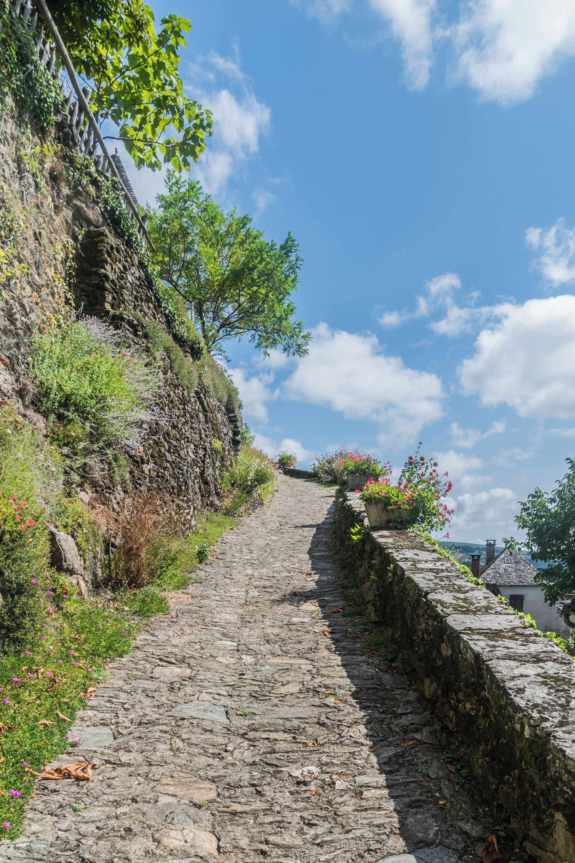 Footpath in La Vinzelle, commune of Conques-en-Rouergue, Aveyron, France