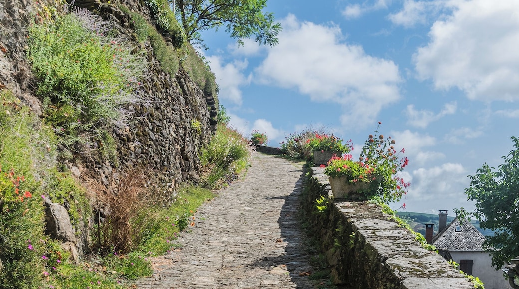 Footpath in La Vinzelle, commune of Conques-en-Rouergue, Aveyron, France