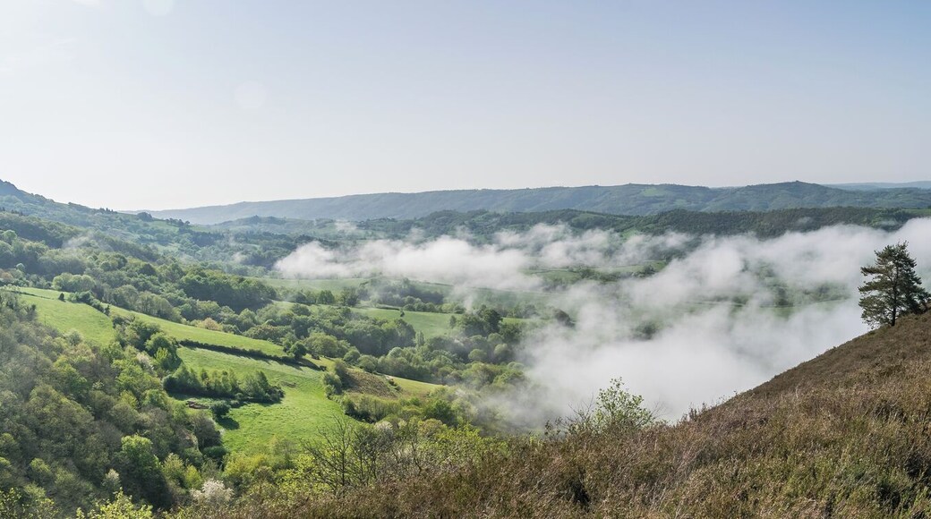 NOTE: This image is a panorama consisting of multiple frames that were merged or stitched in software. As a result, this image necessarily underwent some form of digital manipulation. These manipulations may include blending, blurring, cloning, and color and perspective adjustments. As a result of these adjustments, the image content may be slightly different than reality at the points where multiple images were combined. This manipulation is often required due to lens, perspective, and parallax distortions.