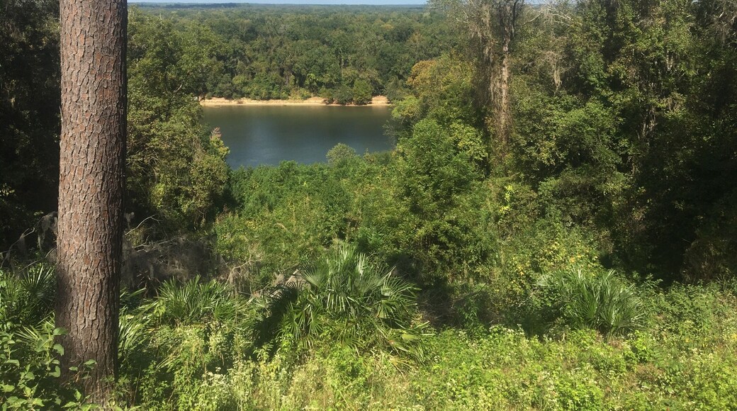 Spectacular view from behind the Gregory House!