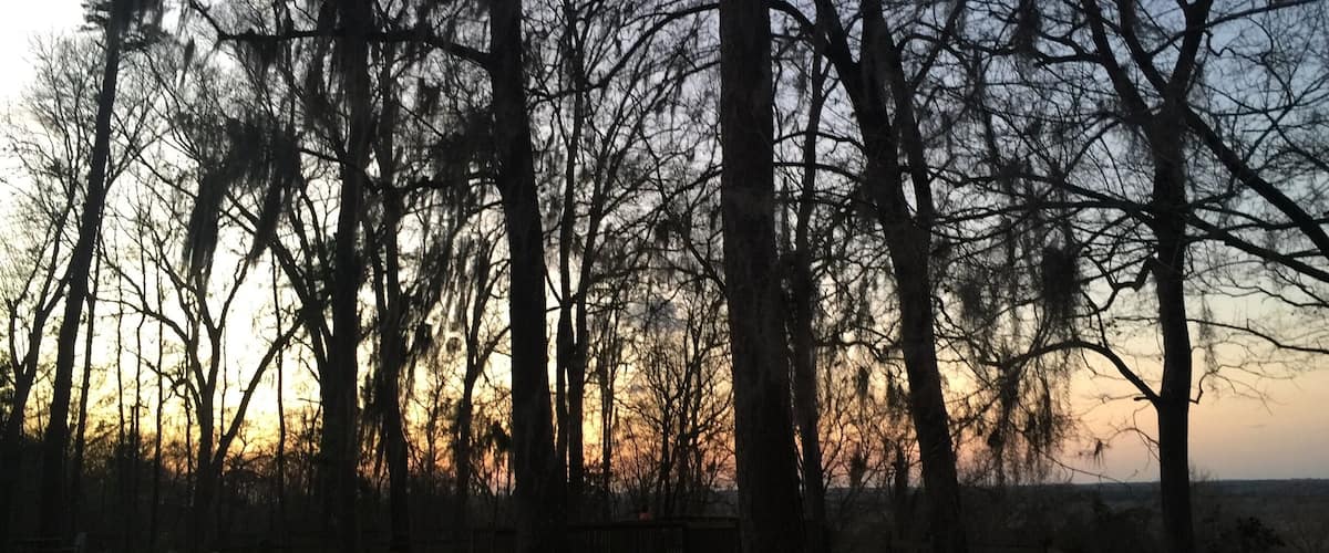 We spent a week camping here at Torreya State Park in NW Florida. Awesome and challenging hiking trails along with perfect weather made this such a great trip.