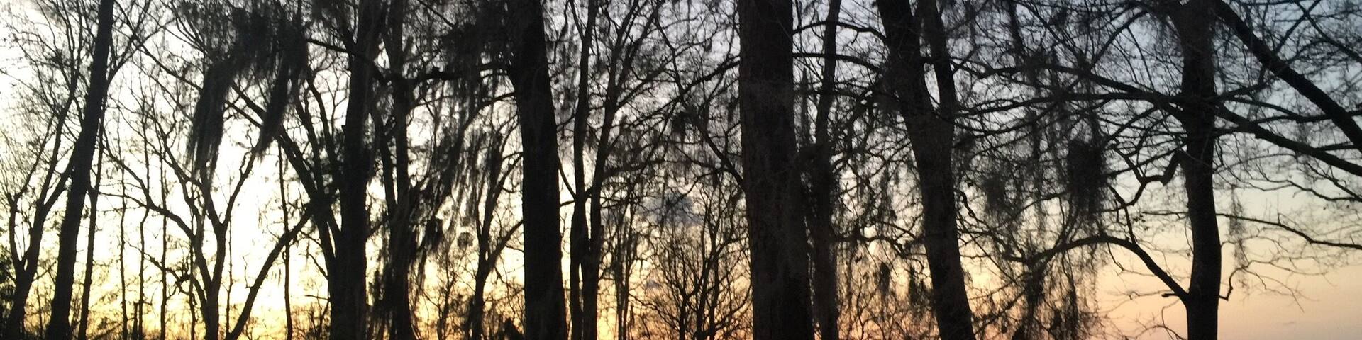 We spent a week camping here at Torreya State Park in NW Florida. Awesome and challenging hiking trails along with perfect weather made this such a great trip.