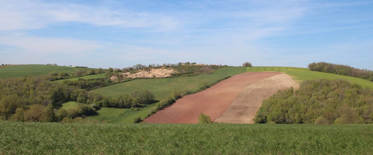 Rolling green hills, a dirt path, and a clear blue sky.