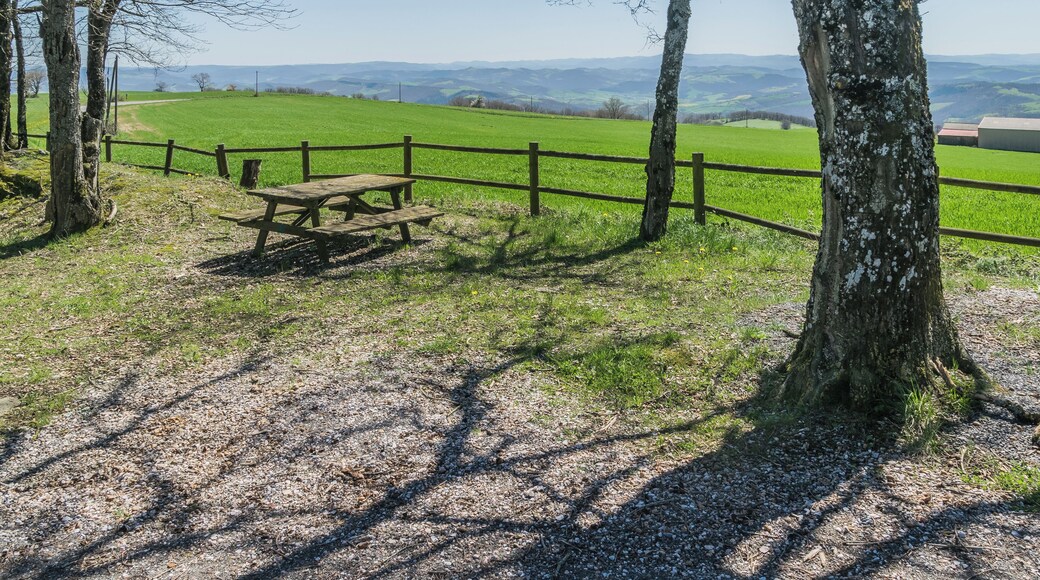 Landscape of commune of Broquiès, Aveyron, France