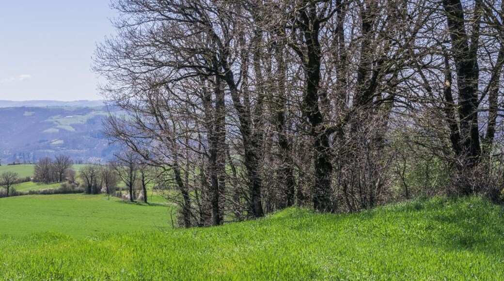 NOTE: This image is a panorama consisting of multiple frames that were merged or stitched in software. As a result, this image necessarily underwent some form of digital manipulation. These manipulations may include blending, blurring, cloning, and color and perspective adjustments. As a result of these adjustments, the image content may be slightly different than reality at the points where multiple images were combined. This manipulation is often required due to lens, perspective, and parallax distortions.