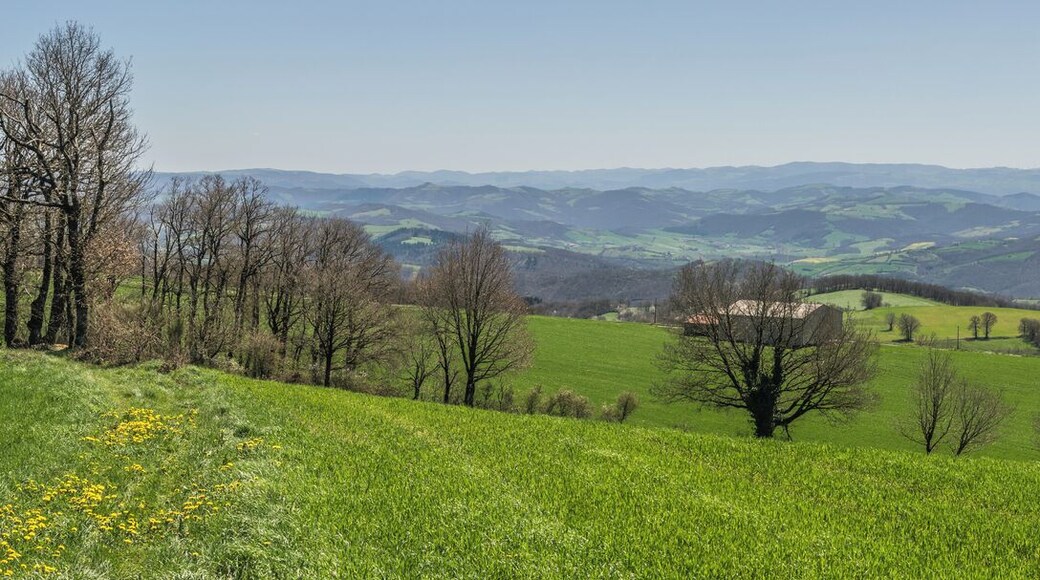 NOTE: This image is a panorama consisting of multiple frames that were merged or stitched in software. As a result, this image necessarily underwent some form of digital manipulation. These manipulations may include blending, blurring, cloning, and color and perspective adjustments. As a result of these adjustments, the image content may be slightly different than reality at the points where multiple images were combined. This manipulation is often required due to lens, perspective, and parallax distortions.