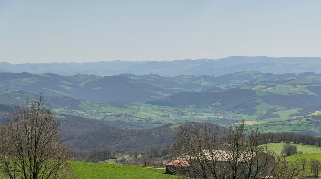 NOTE: This image is a panorama consisting of multiple frames that were merged or stitched in software. As a result, this image necessarily underwent some form of digital manipulation. These manipulations may include blending, blurring, cloning, and color and perspective adjustments. As a result of these adjustments, the image content may be slightly different than reality at the points where multiple images were combined. This manipulation is often required due to lens, perspective, and parallax distortions.