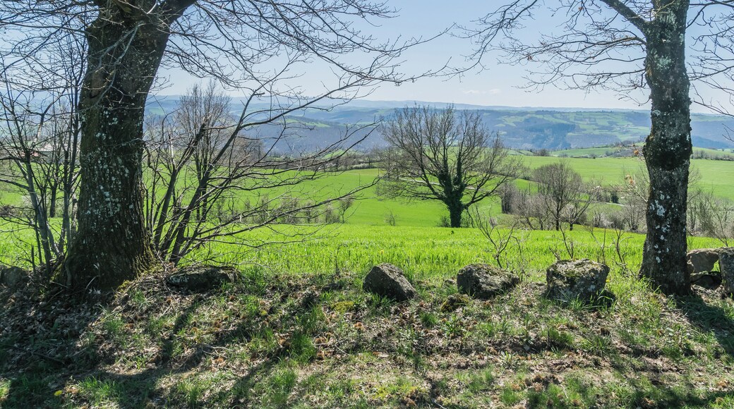 Landscape of commune of Broquiès, Aveyron, France