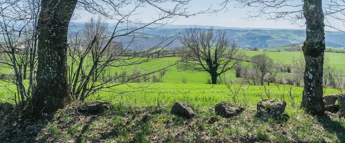 A landscape with trees, rocks, and green fields.