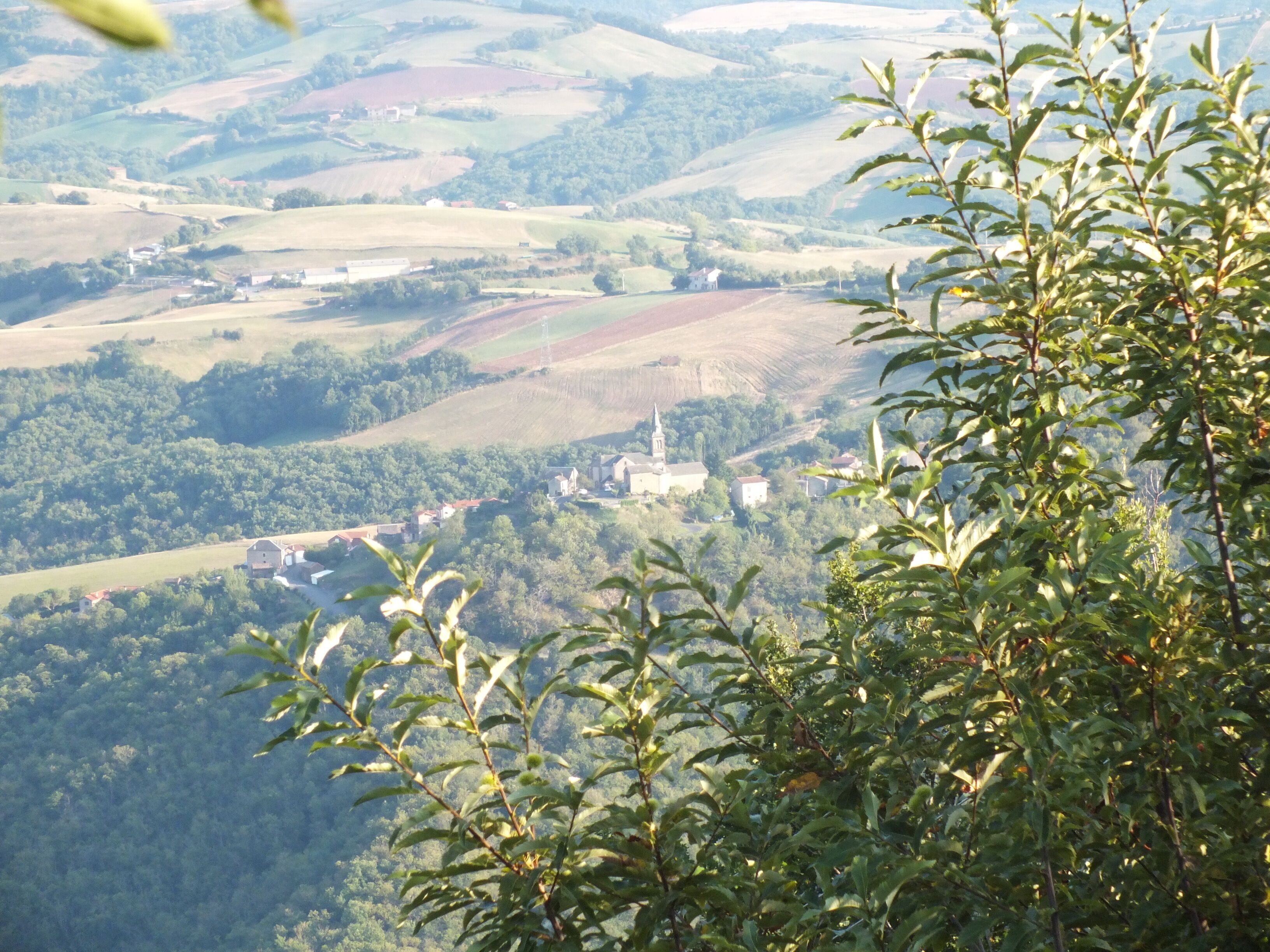The landscape around Le Pouget hydroelectric power station in the commune of Le Truel, in southern Aveyron, in the Raspes de Tarn region is criss-crossed with power lines. The 400kV lines run up from the station up to the high-voltage switching station on the south bank at le Planol, and 63kV lines cross back over the river.