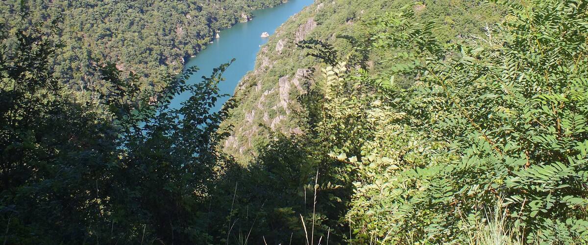 A river winding through a mountainous landscape with dense forest on both sides.