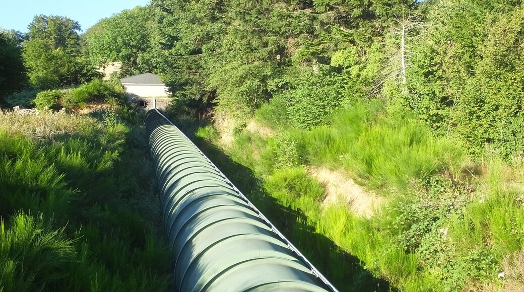Description=The Alrance hydroelectric power station discharges into the head of the Lac de Villefranche-de-Panat, Aveyron, France which was built between 1949 and 1952 on the Alrance (river). Waters come through 10.8 km long penstocks from the Lac de Pareloup.