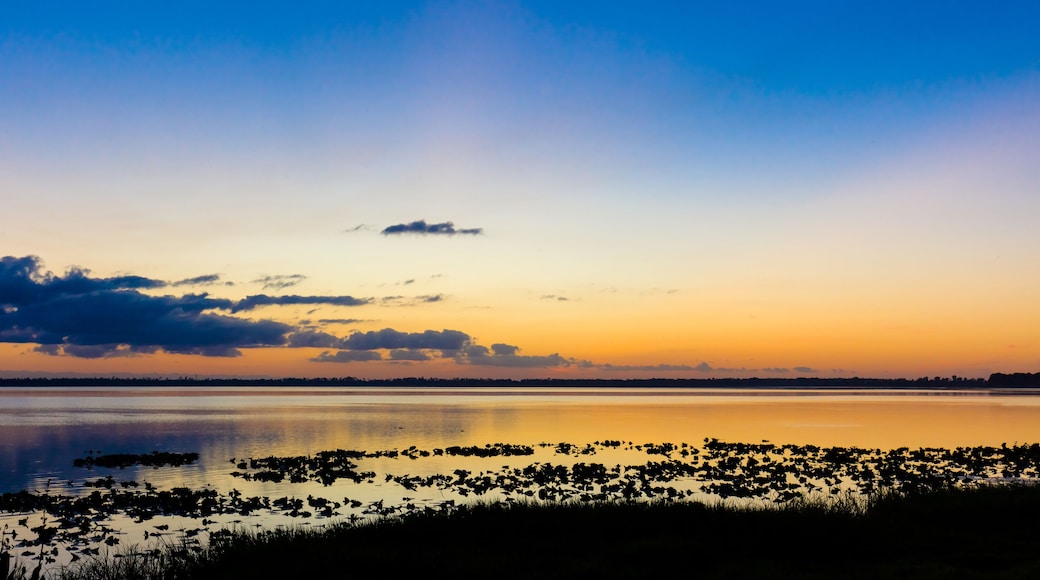 Lake Buena Vista North