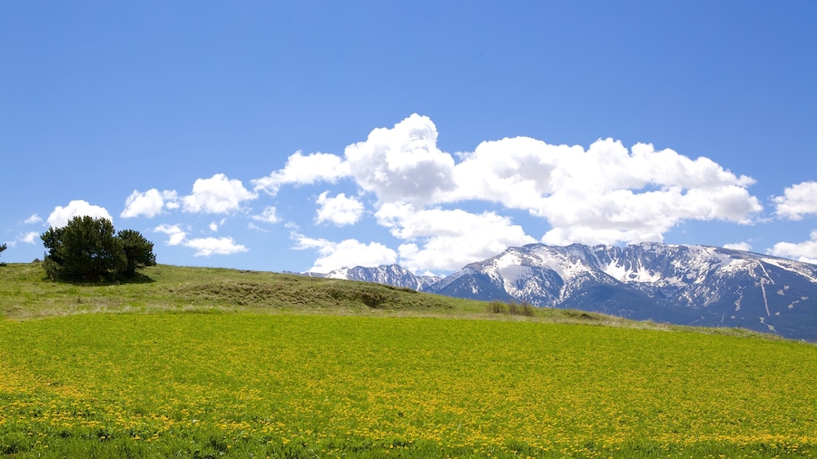 Un campo verde con flores amarillas, un árbol solitario y montañas nevadas bajo un cielo azul con nubes.