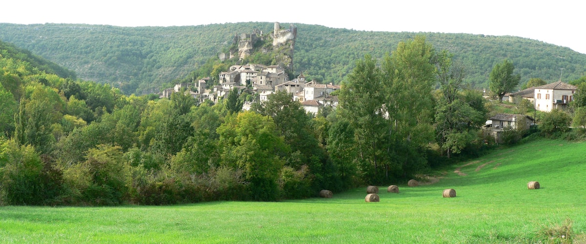 A village nestled in a valley with a castle on a hill, surrounded by lush greenery and rolling hills.