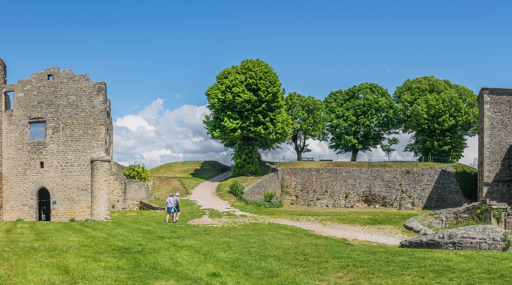 NOTE: This image is a panorama consisting of multiple frames that were merged or stitched in software. As a result, this image necessarily underwent some form of digital manipulation. These manipulations may include blending, blurring, cloning, and color and perspective adjustments. As a result of these adjustments, the image content may be slightly different than reality at the points where multiple images were combined. This manipulation is often required due to lens, perspective, and parallax distortions.