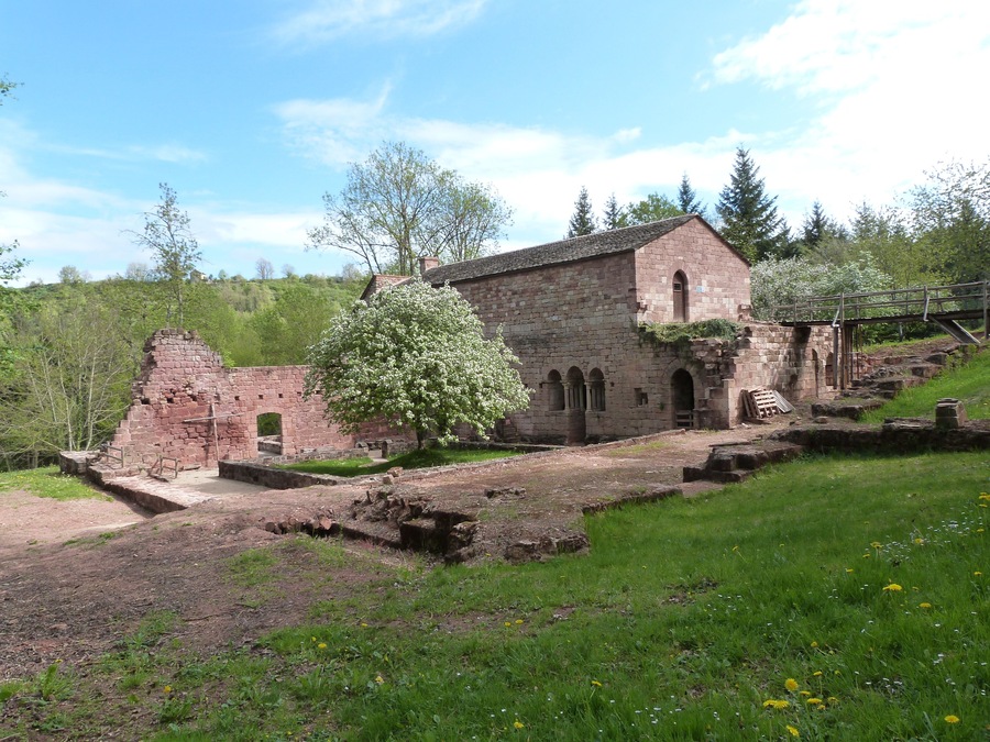 An ancient stone building with a large tree in front.