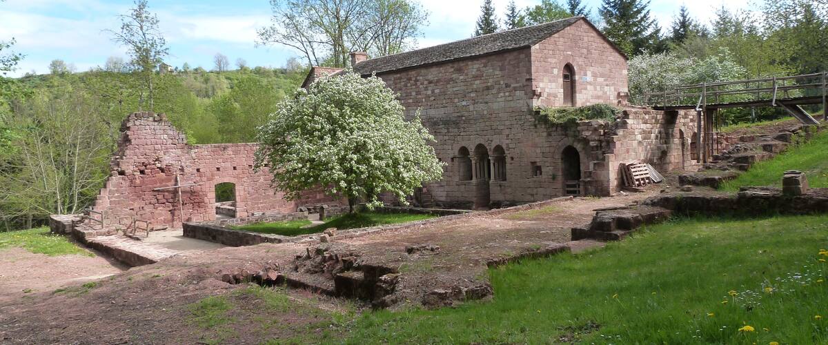 An ancient stone building with a large tree in front.