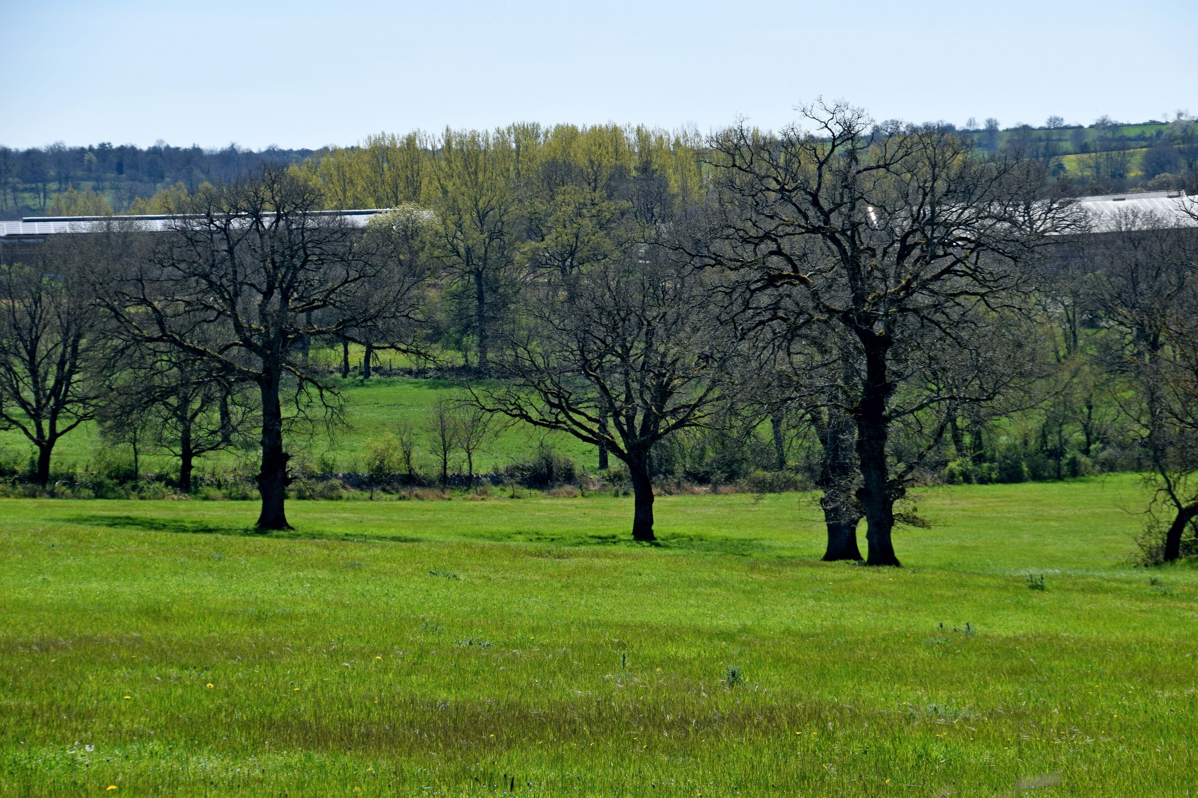 Spring in Aveyron, Rodelle, Aveyron, France