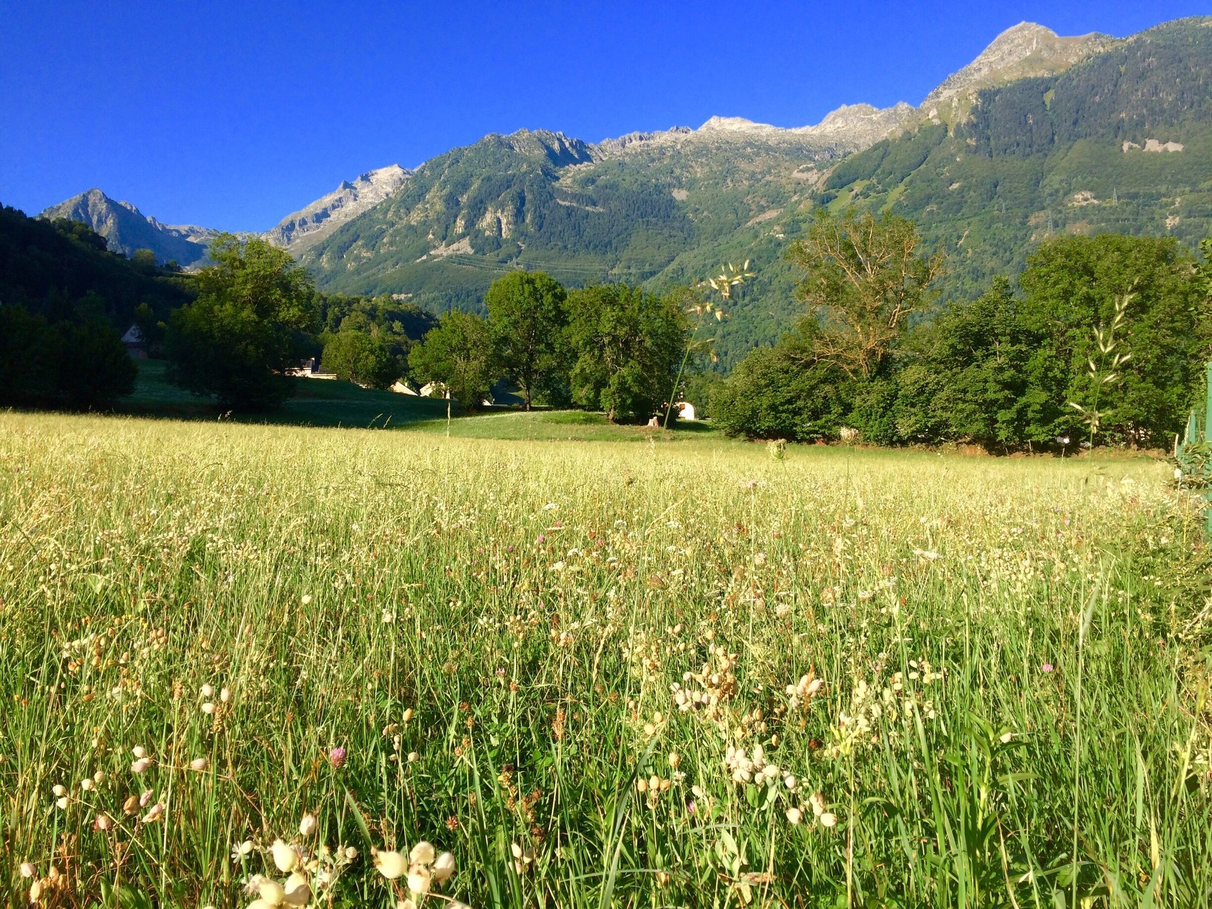 It's a beautiful morning!