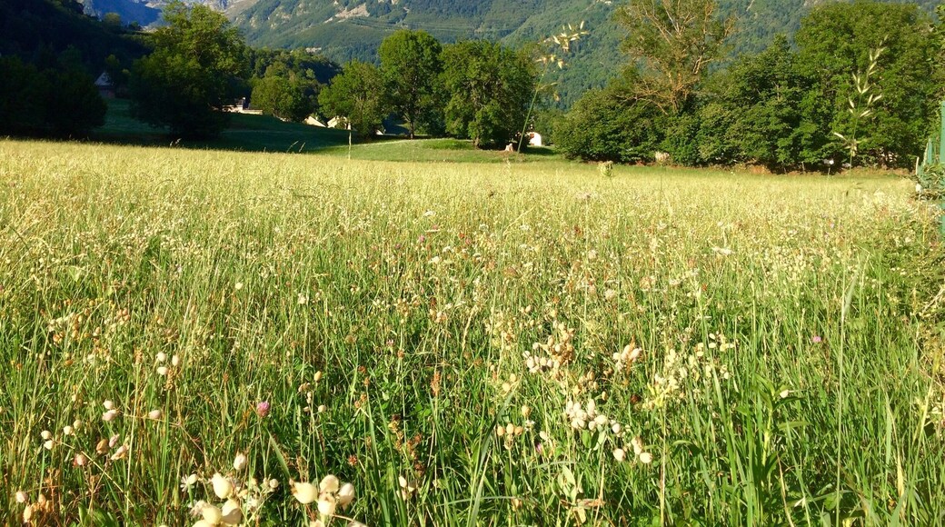 It's a beautiful morning!