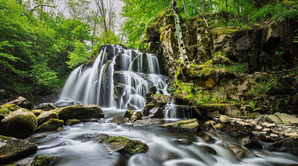 the Touzes waterfalls in Aubrac
