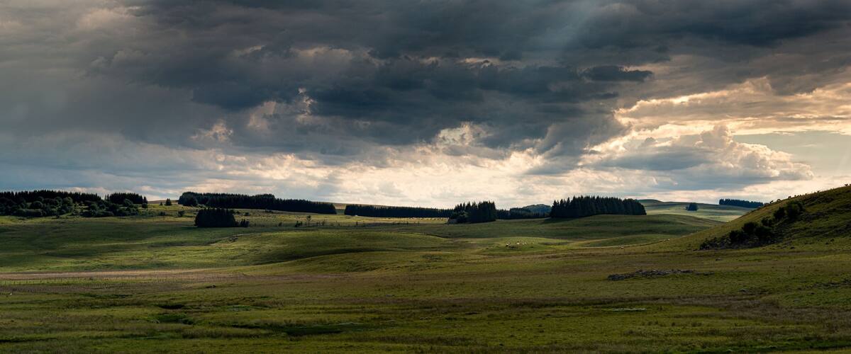 Rolling hills, a cloudy sky, and a distant forest.
