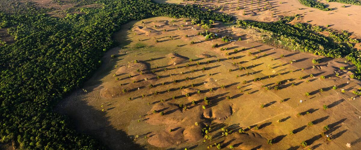 cultivos y llanuras en sobrevuelo en el departamento del Meta _ Colombia, entre Villavicencio y Puerto Gaitán, superficies de cultivos y ganadería de la región