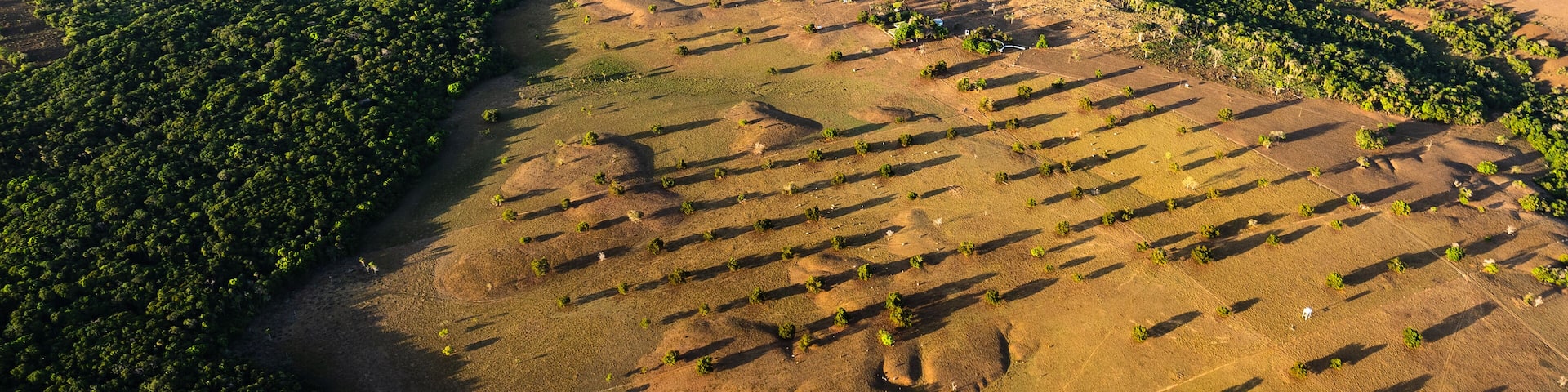 cultivos y llanuras en sobrevuelo en el departamento del Meta _ Colombia, entre Villavicencio y Puerto Gaitán, superficies de cultivos y ganadería de la región