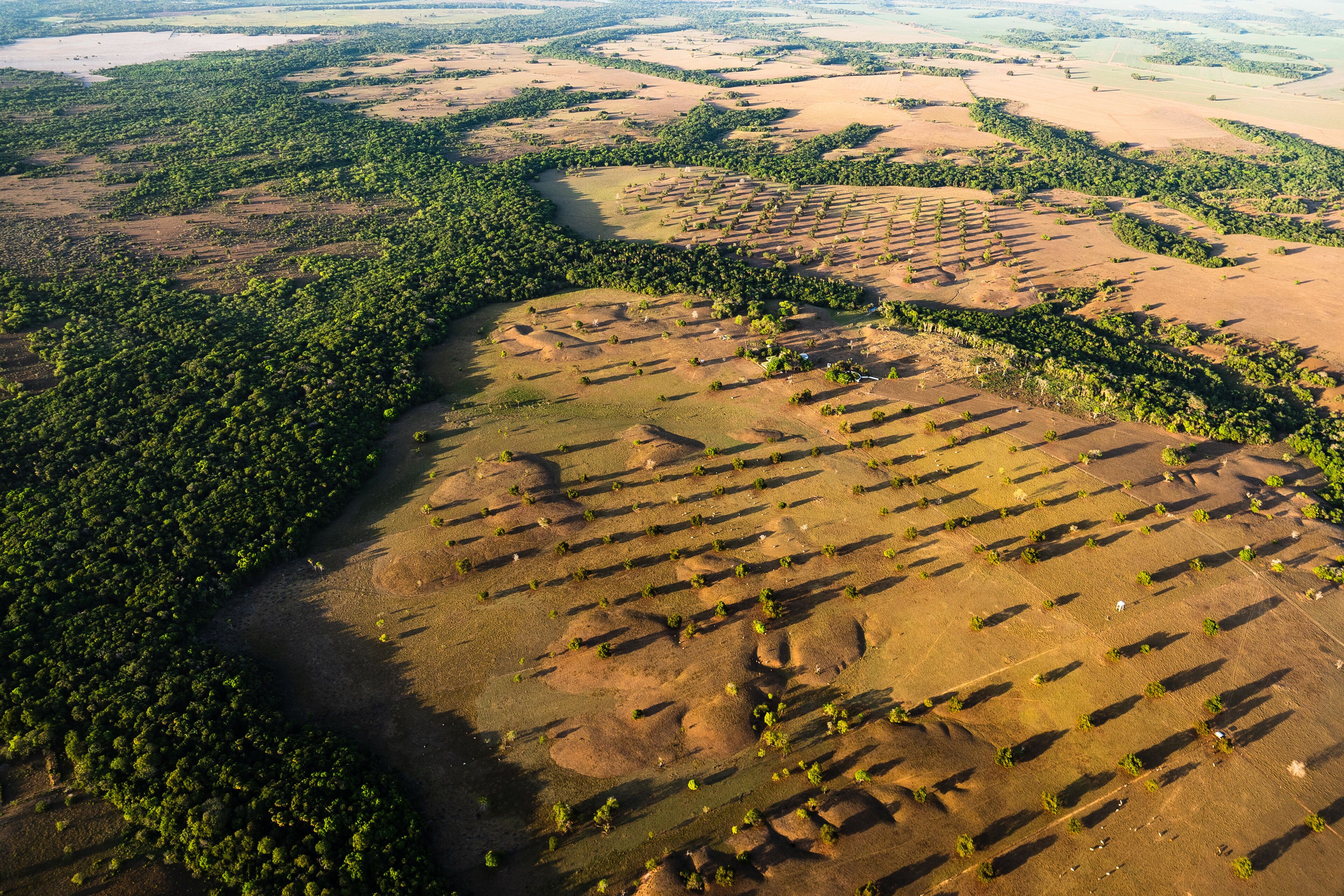 An aerial view of a landscape with a river, terraced fields, and dense forest areas.