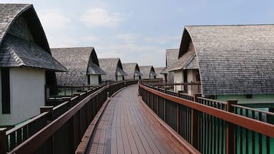모미