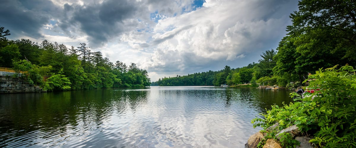 A calm lake surrounded by dense green trees and a cloudy sky.