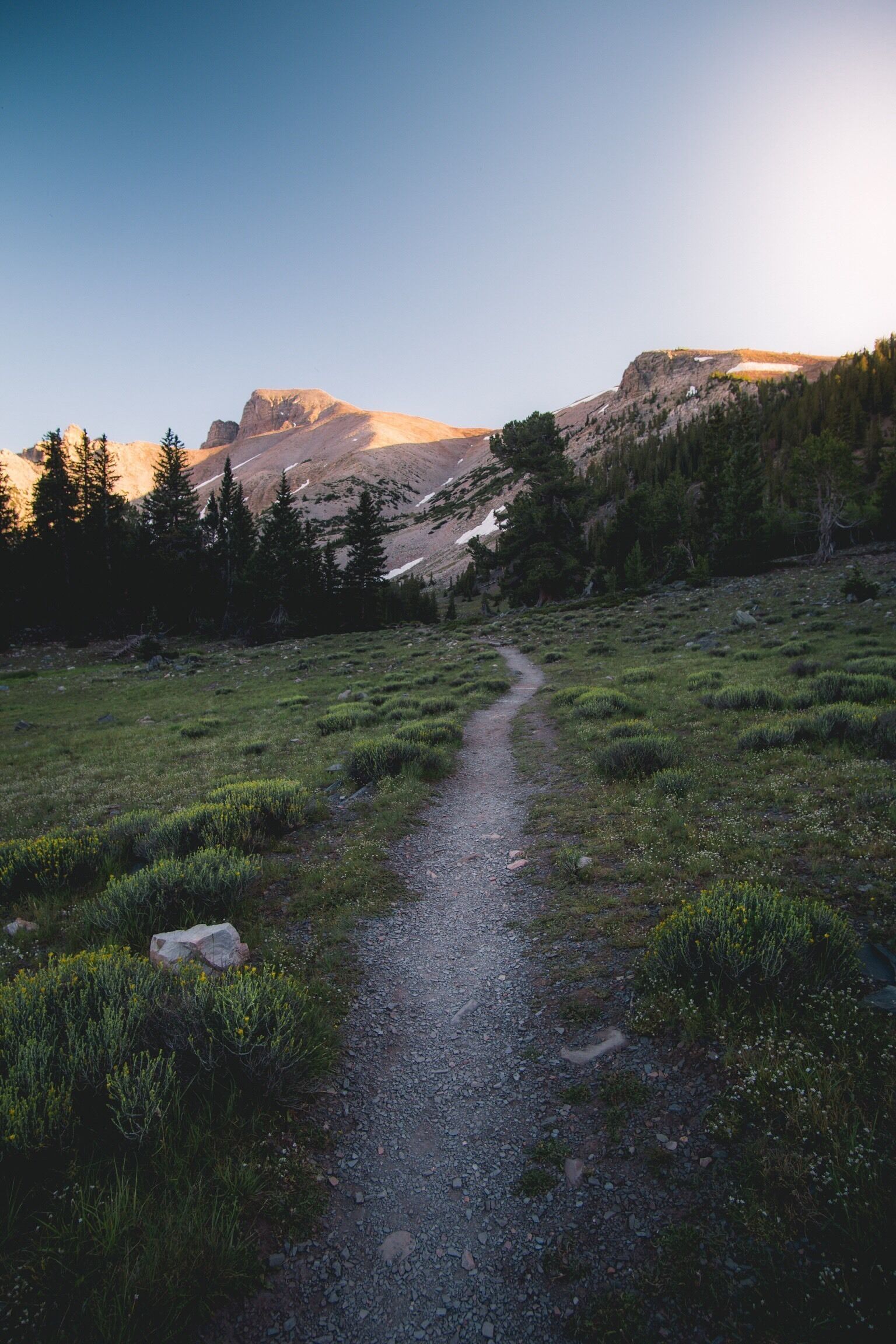 A gravel path winding through a grassy field with a mountain in the background.