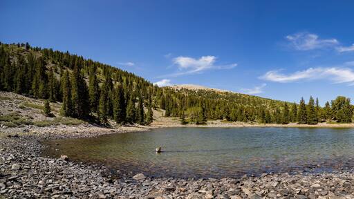Afternoon sunny view of the Stella Lake