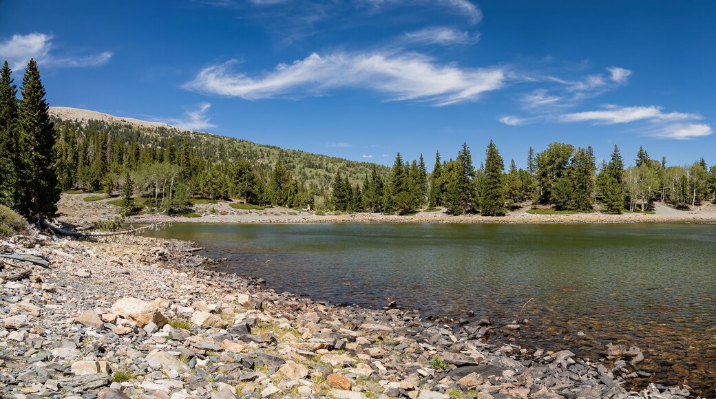 Afternoon sunny view of the Stella Lake