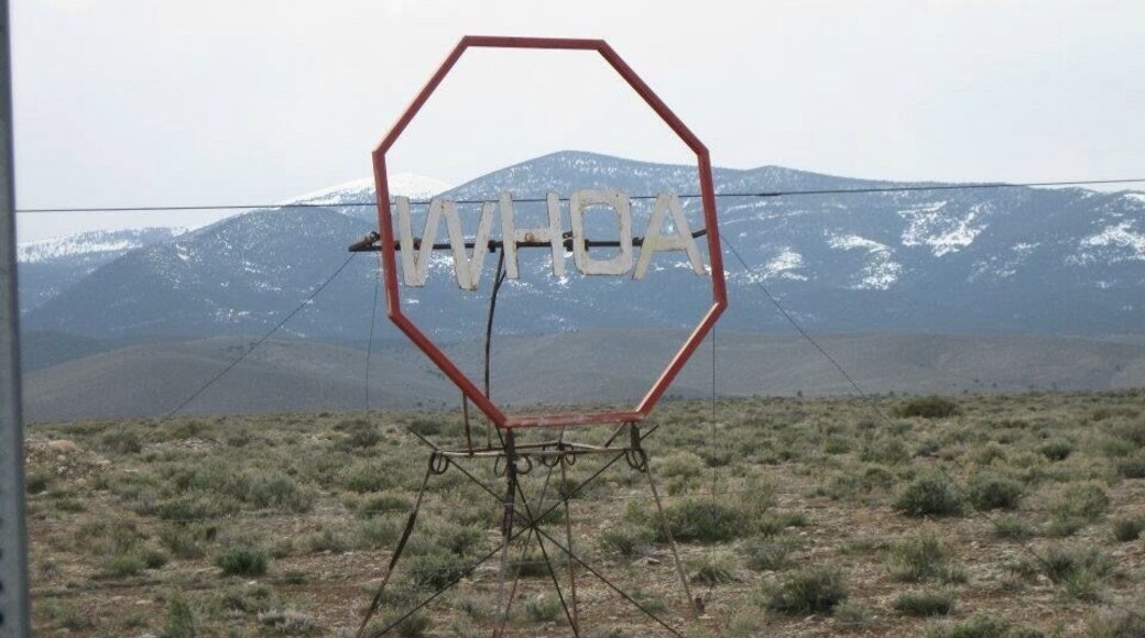 Baker Nevada, when you come into town from cutoff road. This town has a lot of cool little art things like this. #greatbasin #nevada