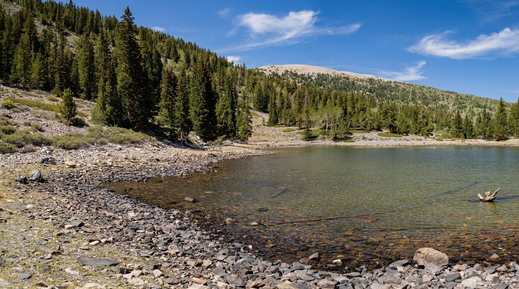 Afternoon sunny view of the Stella Lake