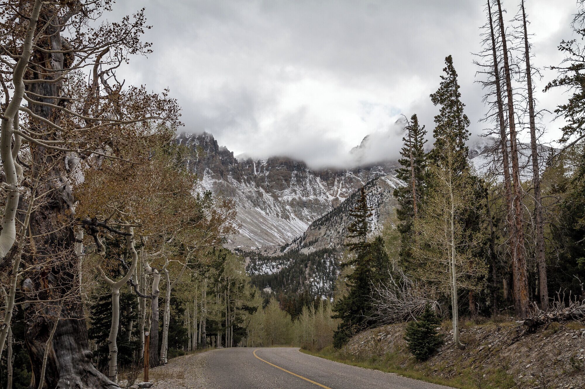 In October 2017, our trip started from Las Vegas, we drove most of the day, stopped for lunch in Caliente, but did end up on the 50, the loneliest highway in the U.S. Luckily at night, we managed to find a RV park, East of Baker, just on the borderline Nevada-Utah. We woke up on a clear sunny day and thought we would go and hike in the Great Basin National Park. As luck would have it, as the day progressed and we got nearer to the summit, the weather got worse. We were not equipped for rain or snow, so this is as near as we got to Mount Washington. Nevertheless, it is still a beautiful place to be.
#BvSApplication