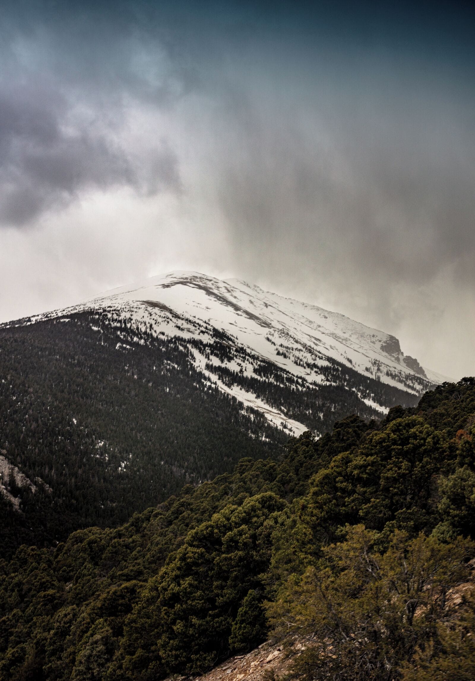 A snow-capped mountain with dense forest at its base.