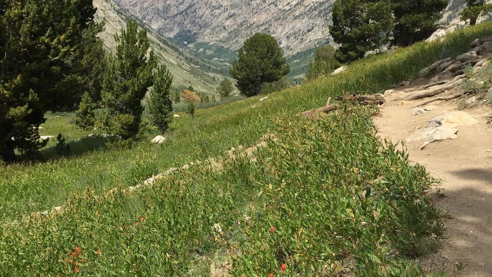 Un sentier de terre serpente à travers une région montagneuse, bordée d’une végétation verdoyante, sous un ciel bleu et dégagé.