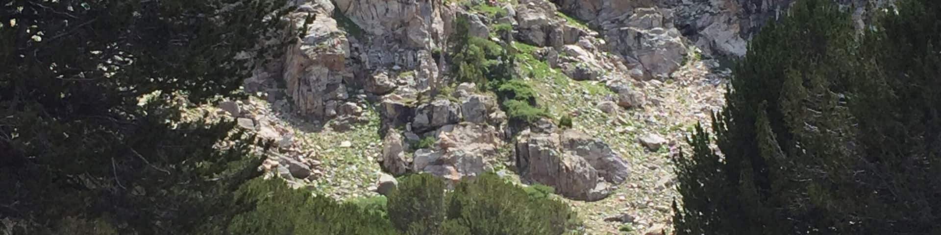 A mountainous landscape with a river flowing through a valley, surrounded by dense forests and rocky cliffs.